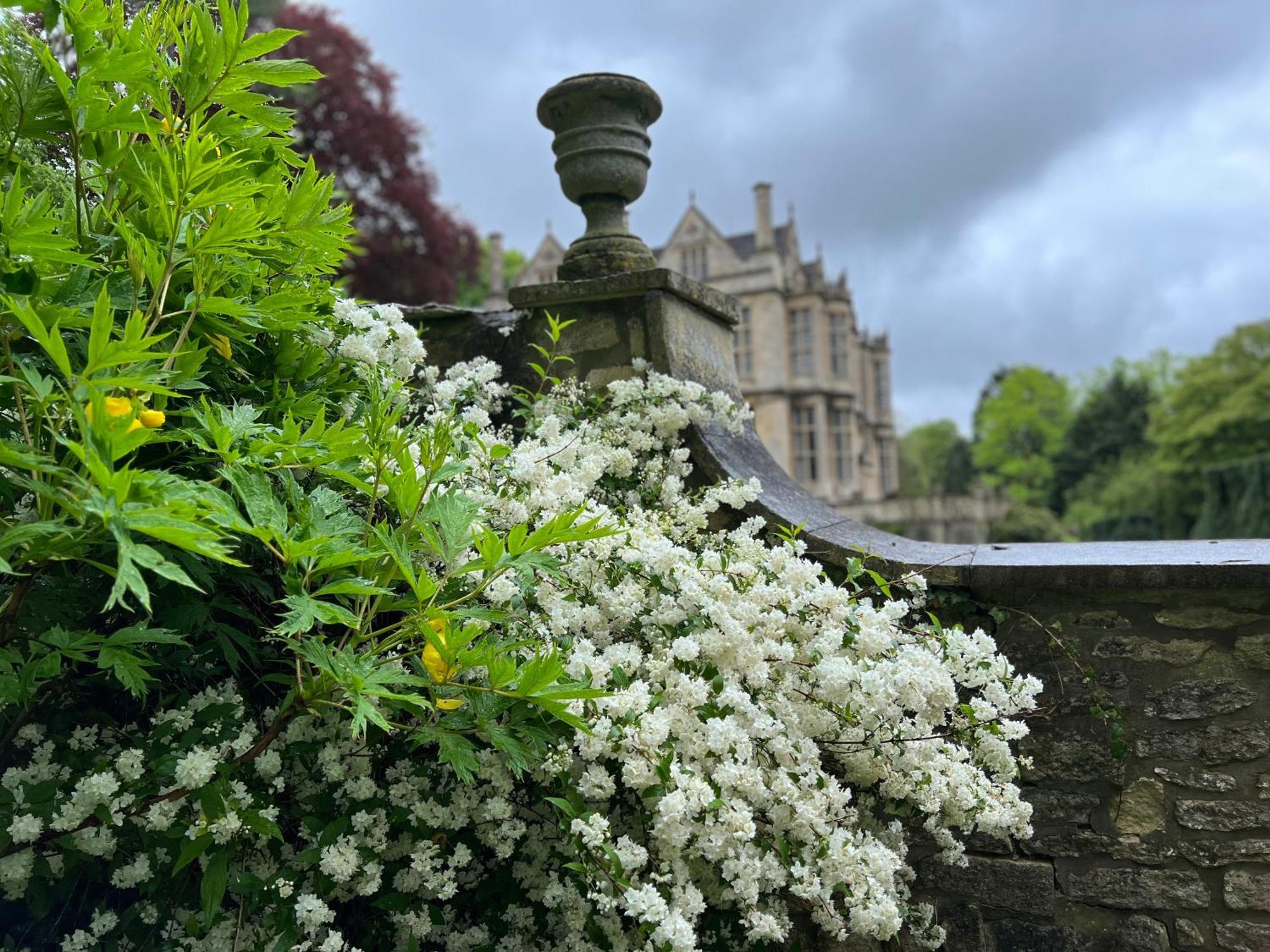 The Hall - Historic Grade I-Listed Jacobean Mansion 브래드포드온아본 외부 사진